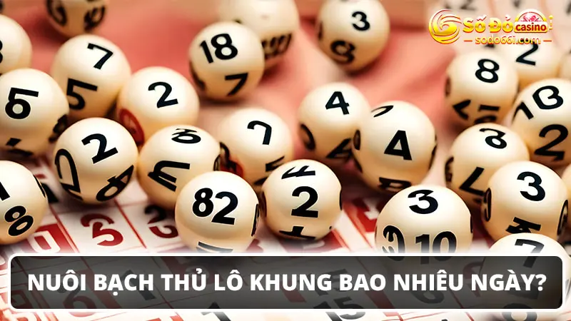 Nuôi bạch thủ lô khung bao nhiêu ngày hợp lý?