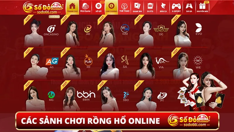 Các sảnh chơi Rồng Hổ online tại Sodo66