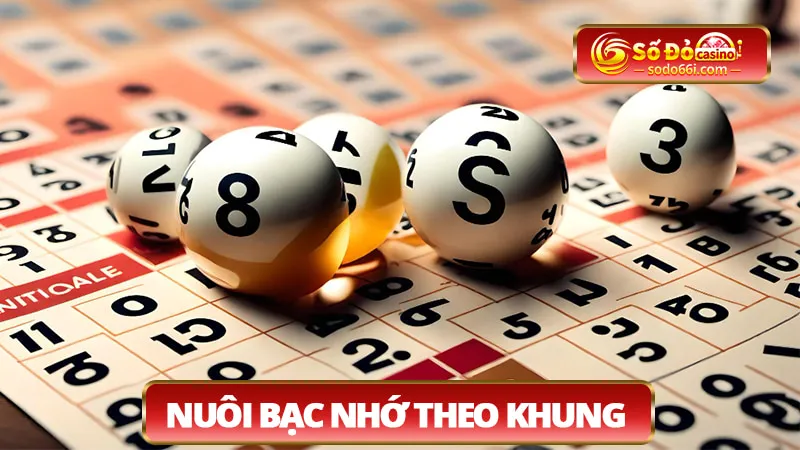 Nuôi bạc nhớ theo khung